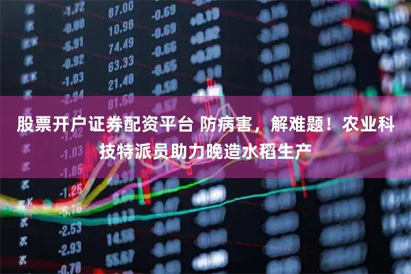 股票开户证券配资平台 防病害，解难题！农业科技特派员助力晚造水稻生产