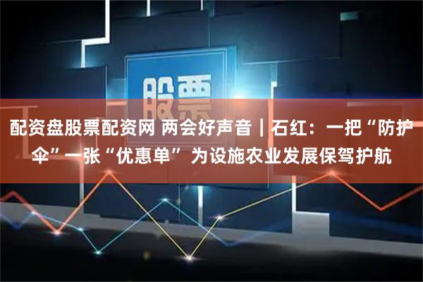 配资盘股票配资网 两会好声音｜石红：一把“防护伞”一张“优惠单” 为设施农业发展保驾护航