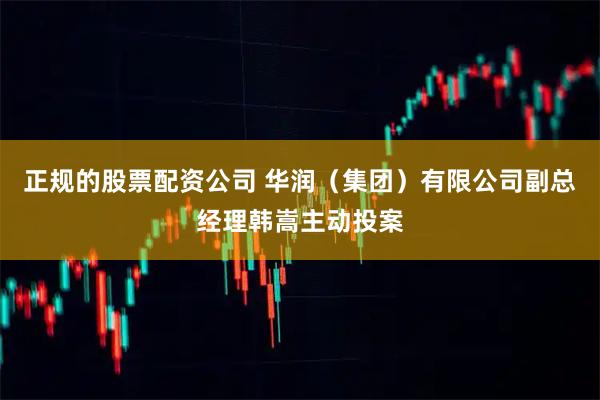 正规的股票配资公司 华润（集团）有限公司副总经理韩嵩主动投案