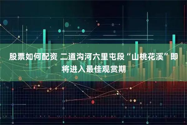 股票如何配资 二道沟河六里屯段“山桃花溪”即将进入最佳观赏期